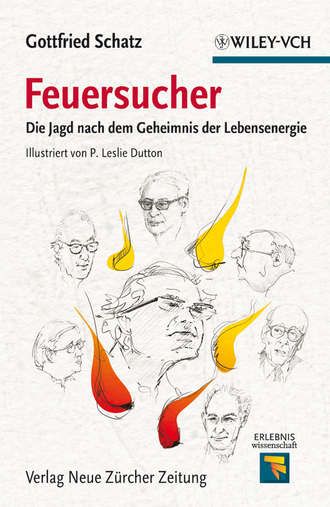 Schatz Gottfried. Feuersucher. Die Jagd nach dem Geheimnis der Lebensenergie