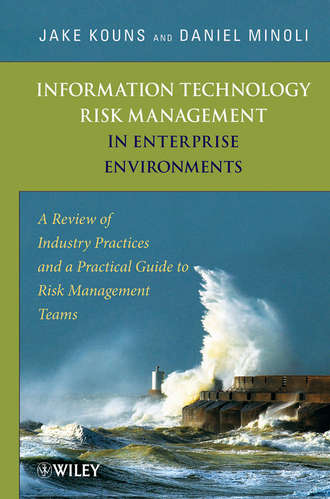 Minoli Daniel. Information Technology Risk Management in Enterprise Environments. A Review of Industry Practices and a Practical Guide to Risk Management Teams