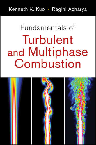 Acharya Ragini. Fundamentals of Turbulent and Multi-Phase Combustion