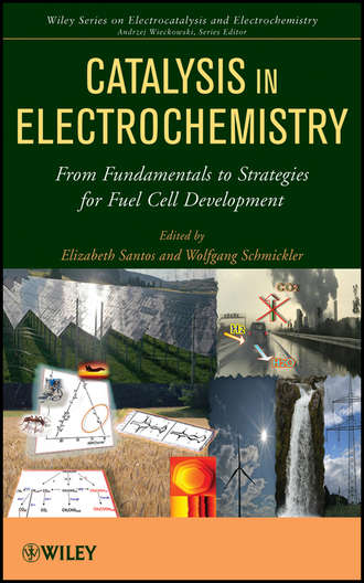 Schmickler Wolfgang. Catalysis in Electrochemistry. From Fundamental Aspects to Strategies for Fuel Cell Development