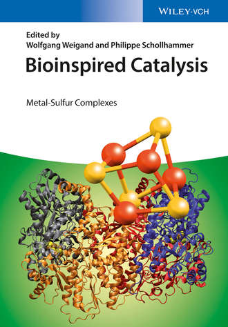 Schollhammer Philippe. Bioinspired Catalysis. Metal-Sulfur Complexes