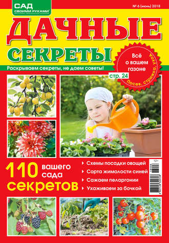 Обложка книги «Сад своими руками. Дачные секреты №6/2018»