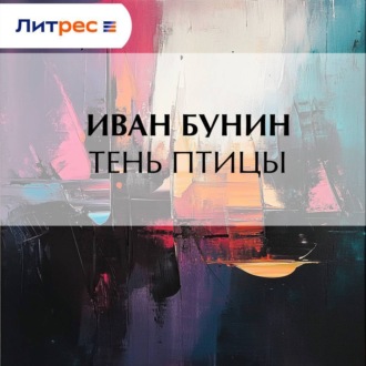 Обложка книги «Тень птицы»