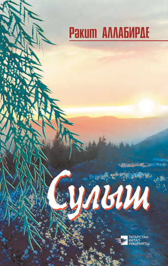 Обложка книги «Сулыш (җыентык)»
