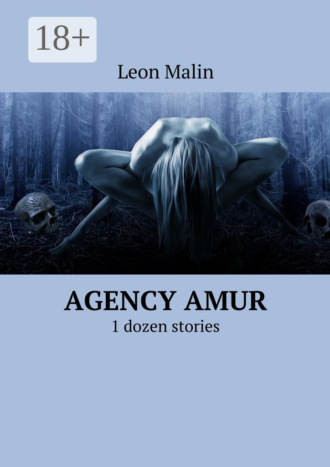 Обложка книги «Agency Amur. 1 dozen stories»