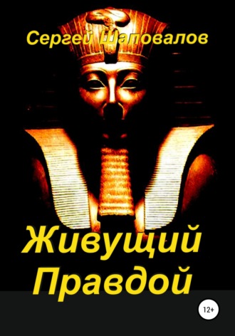 Сергей Анатольевич Шаповалов. Живущий Правдой