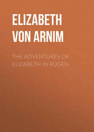 Обложка книги «The Adventures of Elizabeth in Rügen»