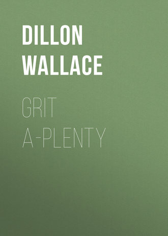 Обложка книги «Grit A-Plenty»
