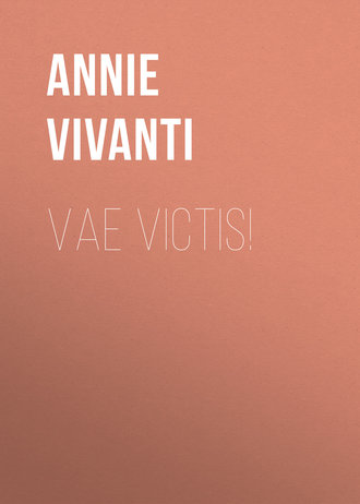 Обложка книги «Vae victis!»