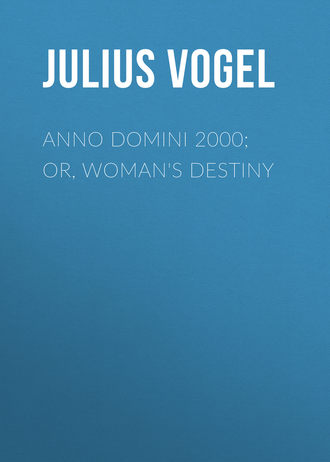 Обложка книги «Anno Domini 2000; or, Woman's Destiny»