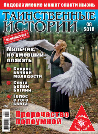 Обложка книги «Таинственные истории №08/2018»