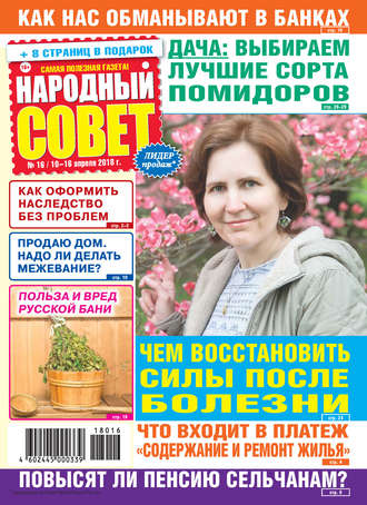 Обложка книги «Народный совет №16/2018»