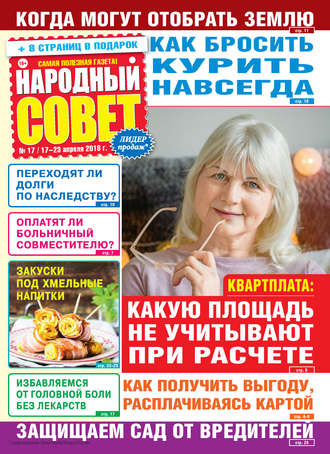 Обложка книги «Народный совет №17/2018»