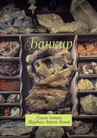 Василий Лягоскин. Банкир. Книга пятая: Трудная дорога домой