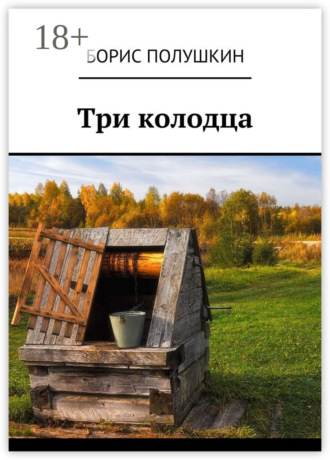 Обложка книги «Три колодца»