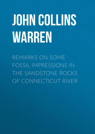 Обложка книги «Remarks on some fossil impressions in the sandstone rocks of Connecticut River»