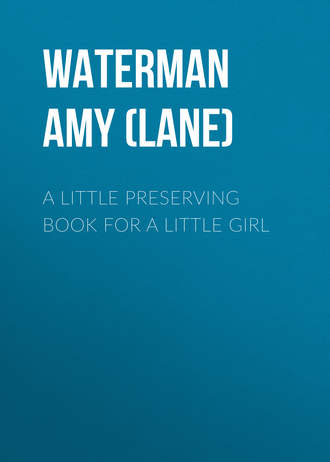 Обложка книги «A Little Preserving Book for a Little Girl»