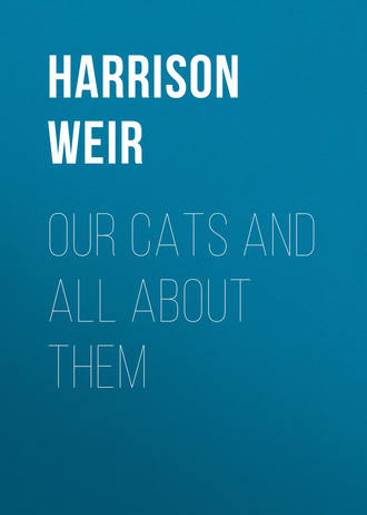 Обложка книги «Our Cats and All About Them»