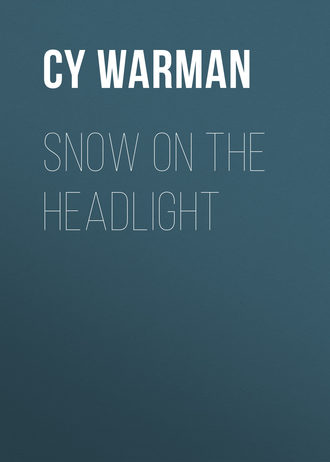 Обложка книги «Snow on the Headlight»