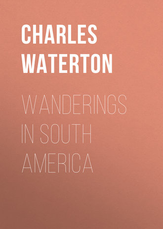 Обложка книги «Wanderings in South America»