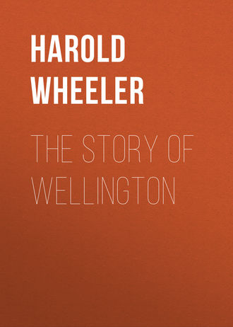 Обложка книги «The Story of Wellington»