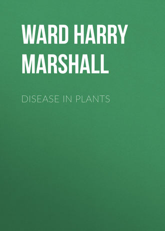Обложка книги «Disease in Plants»