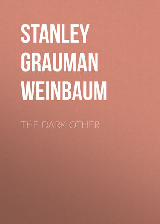 Обложка книги «The Dark Other»