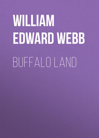 William Edward Webb. Buffalo Land