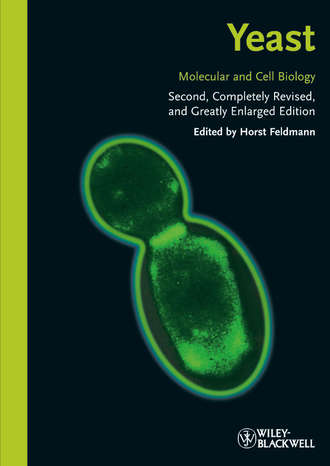 Horst  Feldmann. Yeast. Molecular and Cell Biology