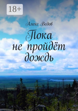 Пока не пройдёт дождь. 