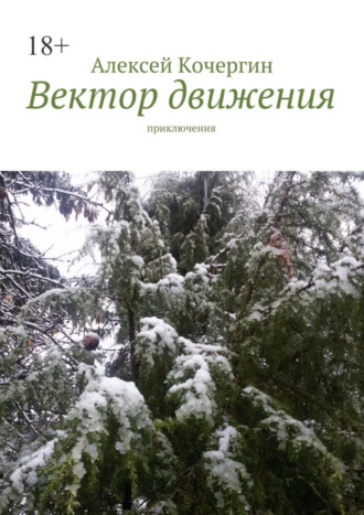 Алексей Геннадьевич Кочергин. Вектор движения. Приключения