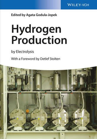 Agata Godula-Jopek. Hydrogen Production