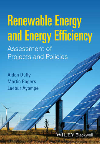 Martin Rogers E.. Renewable Energy and Energy Efficiency