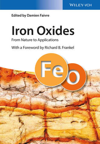 Damien Faivre. Iron Oxides