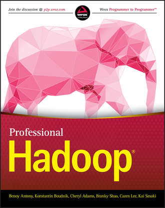 Benoy Antony. Professional Hadoop