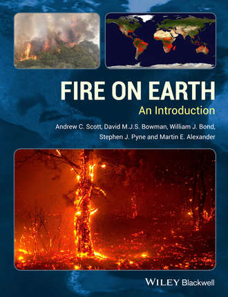 Stephen J. Pyne. Fire on Earth