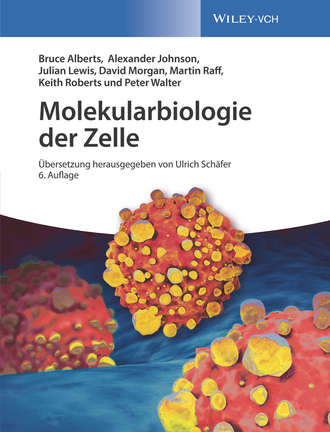 David  Morgan. Molekularbiologie der Zelle