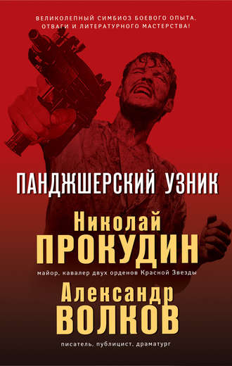 Обложка книги «Панджшерский узник»