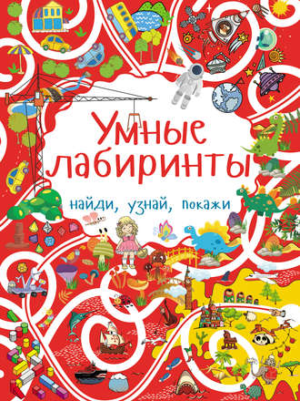 Обложка книги «Умные лабиринты»