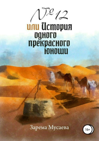 Обложка книги «№ 12, или История одного прекрасного юноши»