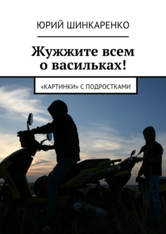 Юрий Шинкаренко. Жужжите всем о васильках! «Картинки» с подростками