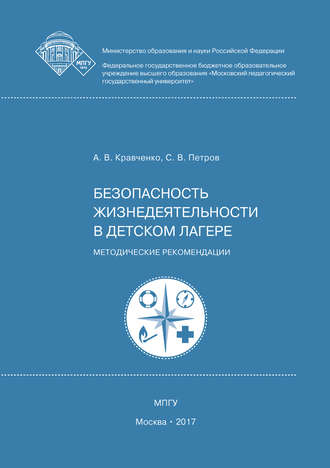 Сергей Викторович Петров. Безопасность жизнедеятельности в детском лагере