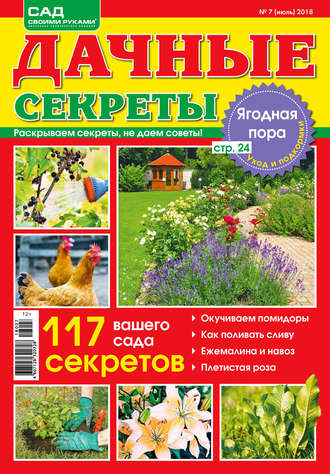 Обложка книги «Сад своими руками. Дачные секреты №7/2018»