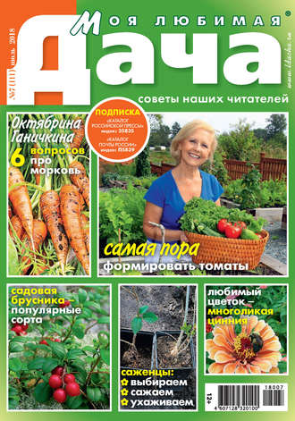 Обложка книги «Моя любимая дача №7/2018»