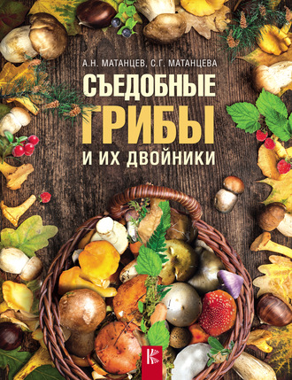 Обложка книги «Съедобные грибы и их двойники»