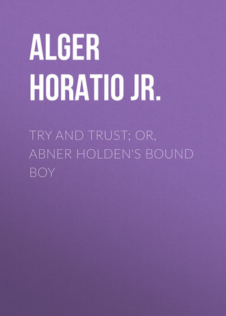 Обложка книги «Try and Trust; Or, Abner Holden's Bound Boy»
