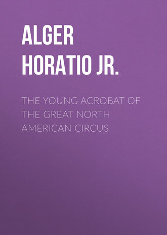 Обложка книги «The Young Acrobat of the Great North American Circus»