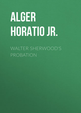 Обложка книги «Walter Sherwood's Probation»