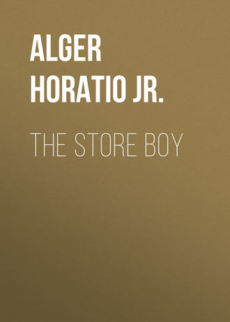 Обложка книги «The Store Boy»