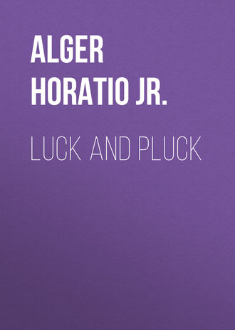 Обложка книги «Luck and Pluck»